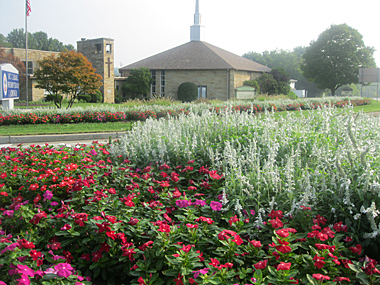 Aliquippa garden, 2011