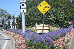 Erie garden at East Avenue and 6th Street, 2010