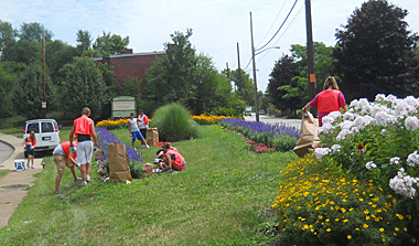 Volunteers weeding at Homewood Garden, summer 2011
