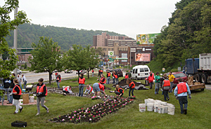 Planting at Johnstown Expressway off-ramp, 2010