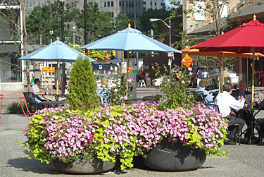 Planters in Market Square, 2011