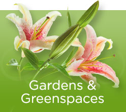 Gardens & Greenspace Banner