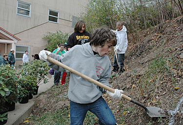 Students dig holes for rhododendron at Classical School, 2010