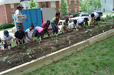 Planting at Pittsburgh Miller School 