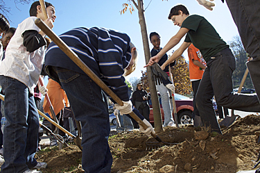 Fall 2010 planting at Pittsburgh Gifted Center