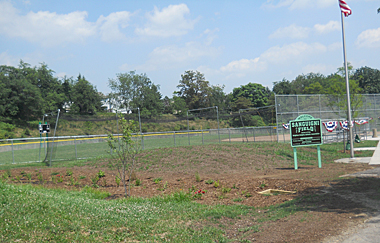 Sanguini Baseball Field in Brighton Heights